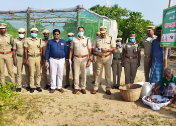 கோடிக்கரையில் 313 கடல் ஆமை குஞ்சுகள் கடலில் விடப்பட்டன.