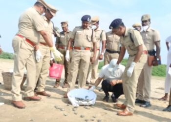 கோடிக்கரையில் 375 கடல் ஆமை குஞ்சுகளை திருச்சி மத்திய மண்டல காவல்துறை தலைவர் பாலகிருஷ்ணன் கடலில் விட்டார்.