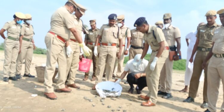 கோடிக்கரையில் 375 கடல் ஆமை குஞ்சுகளை திருச்சி மத்திய மண்டல காவல்துறை தலைவர் பாலகிருஷ்ணன் கடலில் விட்டார்.