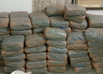 ஆறுகாட்டுத்துறையில் 260 கிலோ கஞ்சாவுடன் 3 பேர் கைது .