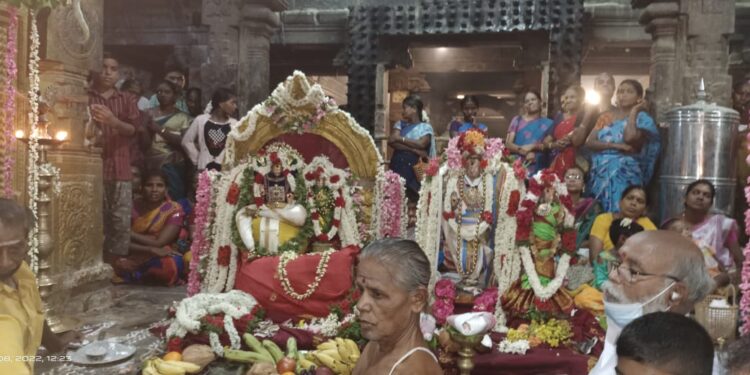 வேதாரண்யம் வேதாரண்யேஸ்வரர் கோவிலில் அகத்தியருக்கு திருமணக்கோல காட்சி அருளும் ஜதீக விழா.