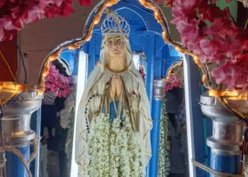 வேதாரண்யத்தை அடுத்த தாணிக்கோட்டகம் புனித லூர்து அன்னை தேவாலயதிரு தேர்பவனி 