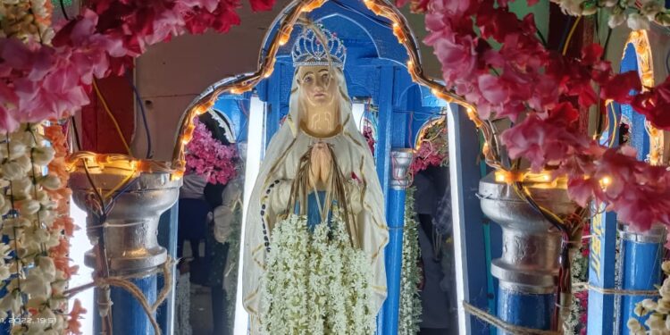 வேதாரண்யத்தை அடுத்த தாணிக்கோட்டகம் புனித லூர்து அன்னை தேவாலயதிரு தேர்பவனி 