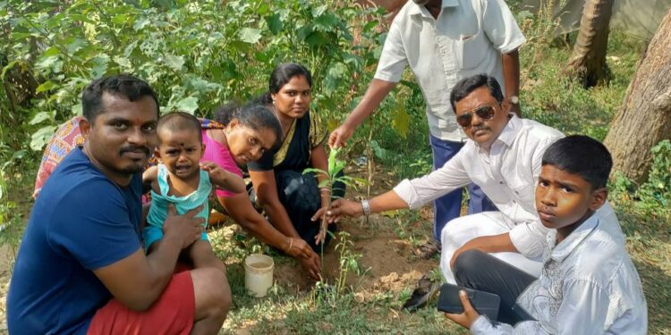 நாகப்பட்டினத்தில் உலக சுற்றுச்சூழல் தினமான இன்று மரக்கன்றுகள் நடும் விழா.