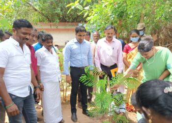 தேசிய சுற்றுச்சூழல் தினத்தை முன்னிட்டு  மாப்பிள்ளையூரணியில் கனிமொழி எம்.பி மரக்கன்று நட்டினார்.