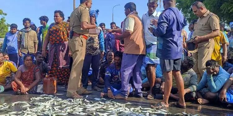 நாகூர் துறைமுகத்தில் மீன் விற்பனை செய்ய ஒரு தரப்பினர் எதிர்ப்பு தெரிவித்ததால் மற்றொரு தரப்பினர் சாலையில் மீன்களை கொட்டி மறியல் போராட்டம். 3 மணி நேரம் போக்குவரத்து பாதிப்பு!!!