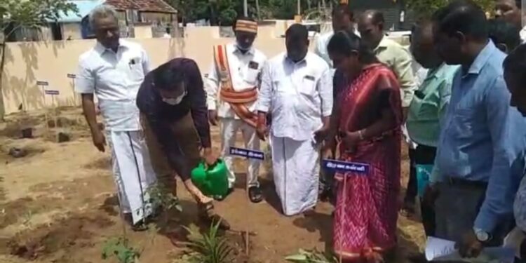 வேதாரண்யத்தில் வட்டாட்சியர் அலுவலக வளாகத்தில் மூலிகை தோட்டம் அமைப்பு