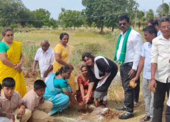 தென்காசி மாவட்டத்தில் ஒரு லட்சம் பனைமர விதை நடவுப்பணியை  தமிழ்நாடு பனைமரங்கள் பாதுகாப்பு கூட்டமைப்பு மாநில தலைவர் எம்.ஏ.தாமோதரன் துவக்கி வைத்தார்.