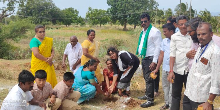 தென்காசி மாவட்டத்தில் ஒரு லட்சம் பனைமர விதை நடவுப்பணியை தமிழ்நாடு பனைமரங்கள் பாதுகாப்பு கூட்டமைப்பு மாநில தலைவர் எம்.ஏ.தாமோதரன் துவக்கி வைத்தார்.