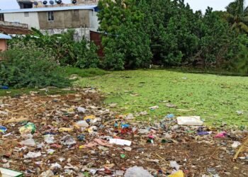 நாகை காடம்பாடி  குளத்தில் குப்பைகள் கொட்டப்படுவதால் துர்நாற்றம்: நாகை ஆட்சியர் நடவடிக்கை எடுக்க பொதுமக்கள் கோரிக்கை!!