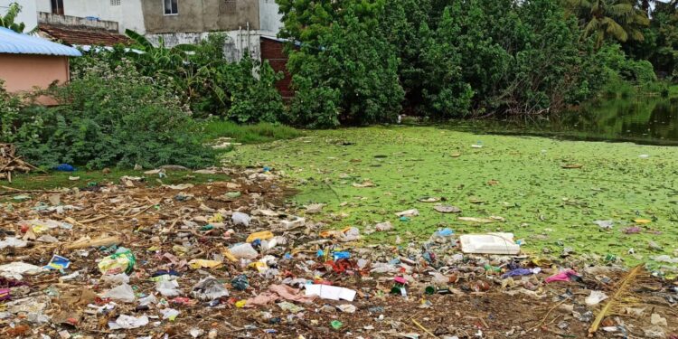 நாகை காடம்பாடி  குளத்தில் குப்பைகள் கொட்டப்படுவதால் துர்நாற்றம்: நாகை ஆட்சியர் நடவடிக்கை எடுக்க பொதுமக்கள் கோரிக்கை!!