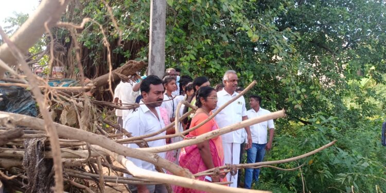 வேதாரணியம் நகராட்சி நகரங்களின் தூய்மைக்கான மக்கள் இயக்க சிறப்பு தூய்மை பணி வார்டு எண் 10 ,16 ல் தொடக்கம்.