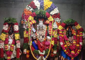 கெலமங்கலம் கிராம தேவதை அருள்மிகு ஸ்ரீ பட்டாளம்மன் கோவிலில் ஆடி அமாவாசை பூஜை வெகு சிறப்பாக நடைபெற்றது.