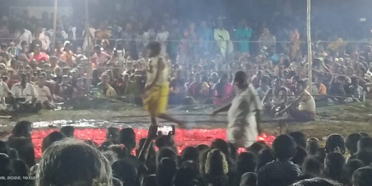 வேதாரணியம் அடுத்த அண்டர் காடு கிராமத்தில் அமைந்துள்ள திரவுபதி அம்மன் திருக்கோயில் தீமிதி திருவிழா