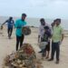 வேதாரணியம் சன்னதி கடற்கரையில் சர்வதேச கடலோர தூய்மை தினம் கடைப்பிடிக்கப்பட்டு கடற்கரையில் உள்ள குப்பைகள் அகற்றப்பட்டன. 