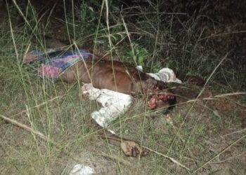 வேதாரண்யத்தை அடுத்த தேத்தாகுடி யில் நேற்று இரவு கார் மோதி ஒருவர் உயிரிழப்பு கிராம மக்கள் சாலை மறியல்.