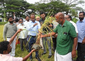 நாகப்பட்டினம் மாவட்டம் திருக்குவளை வட்டத்திற்குட்பட்ட பகுதிகளை வேளாண்மை இயக்குநர் ஏ.அண்ணாதுரை மாவட்ட ஆட்சித்தலைவர் அ.அருண்தம்புராஜ் தலைமையில் இன்று ஆய்வு மேற்கொண்டார்