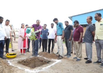 தூத்துக்குடி மாநகராட்சி நிர்வாகம் முழுமையாக மக்களுக்கான பணிகளை செய்து வருகிறது. 37ம் ஆண்டு மாவட்ட தொடக்க நாளை முன்னிட்டு மரக்கன்று நட்டி மேயர் ஜெகன் பெரியசாமி தகவல்
