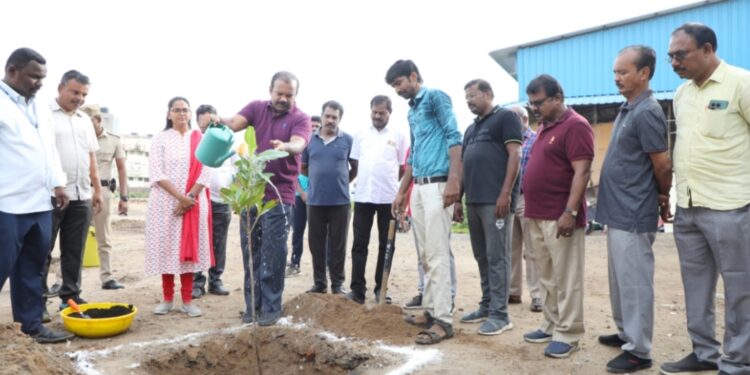 தூத்துக்குடி மாநகராட்சி நிர்வாகம் முழுமையாக மக்களுக்கான பணிகளை செய்து வருகிறது. 37ம் ஆண்டு மாவட்ட தொடக்க நாளை முன்னிட்டு மரக்கன்று நட்டி மேயர் ஜெகன் பெரியசாமி தகவல்