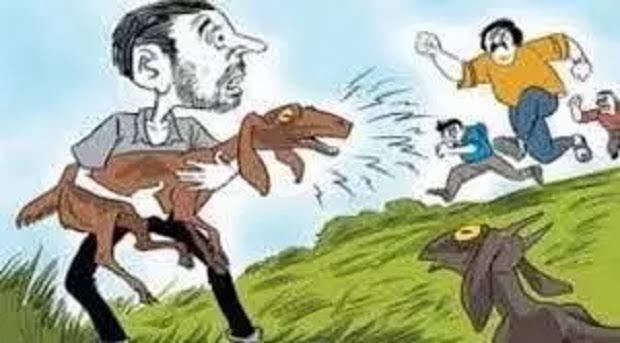 ஸ்ரீவைகுண்டம் அருகே ஆடு திருட முயன்றவர் கைது – பைக் பறிமுதல்*