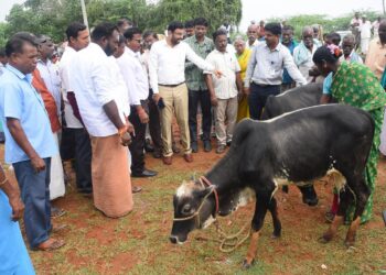 நாகப்பட்டினம் மாவட்டம் தலைஞாயிறு ஊராட்சி ஒன்றியம் துளசாபுரம் ஊராட்சியில் கால்நடை பராமரிப்புத்துறை சார்பில் உள்நாட்டு இன கால்நடைகள் பாதுகாத்தல் மற்றும் இன விறுத்தி விழிப்புணர்வு மற்றும் கண்காட்சி முகாமினை மாவட்ட ஆட்சித்தலைவர் டாக்டர் அ.அருண்தம்புராஜ் தொடங்கி வைத்தார்.