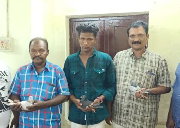 மதுரையிலிருந்து தூத்துக்குடிக்கு புறா பந்தயம் நடைபெற்றது