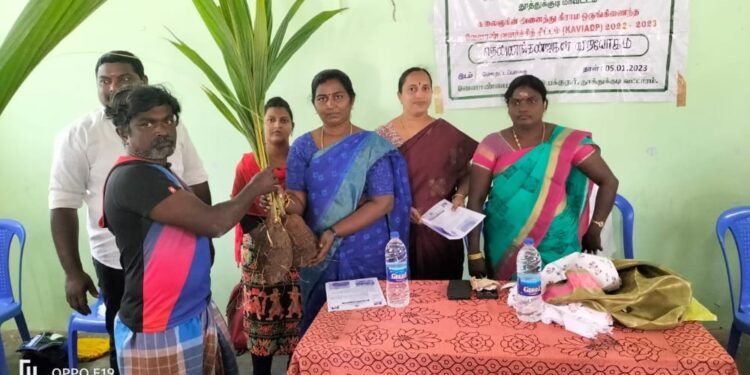 கலைஞரின் அனைத்து கிராம ஒருங்கிணைந்த வேளாண் வளர்ச்சித் திட்டத்தின் கீழ் தென்னங்கன்று விநியோகம்