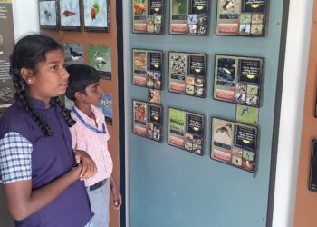 6 வட்டாரங்களைச் சேர்ந்த 52 மாணவர்களுக்கு ஒருநாள் சுற்றுலாவிற்கு நாகப்பட்டினம் மாவட்ட தமிழ்நாடு