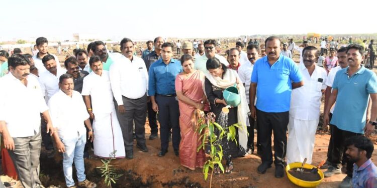 முதல்வர் ஸ்டாலின் பிறந்தநாளையொட்டி மாநகராட்சி சார்பில் 70ஆயிரம் மரக்கன்று நடும் பணியை கனிமொழி எம்.பி தொடங்கி வைத்தார்.