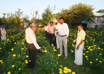 நாகப்பட்டினம் மாவட்டம் கீழ்வேளுர் ஊராட்சி ஒன்றியத்திற்குட்பட்ட பகுதிகளில் நடைபெற்றுவரும் வளர்ச்சித்திட்ட பணிகளை மாவட்ட ஆட்சித்தலைவர் டாக்டர் அ.அருண்தம்புராஜ் நேரில் பார்வையிட்டு ஆய்வு மேற்கொண்டார்.