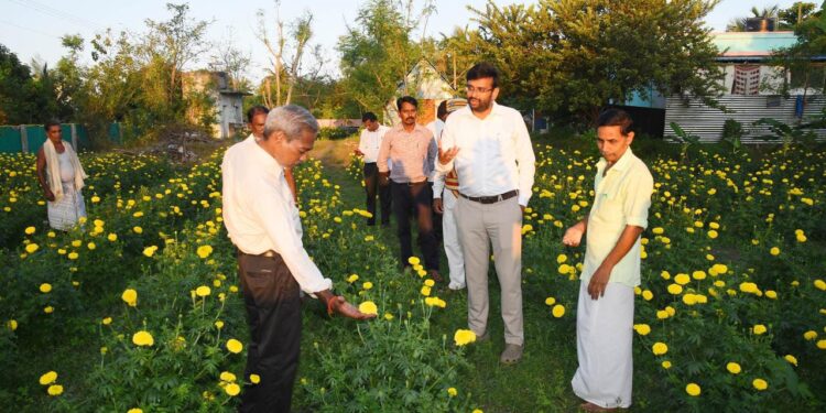 நாகப்பட்டினம் மாவட்டம் கீழ்வேளுர் ஊராட்சி ஒன்றியத்திற்குட்பட்ட பகுதிகளில் நடைபெற்றுவரும் வளர்ச்சித்திட்ட பணிகளை மாவட்ட ஆட்சித்தலைவர் டாக்டர் அ.அருண்தம்புராஜ் நேரில் பார்வையிட்டு ஆய்வு மேற்கொண்டார்.