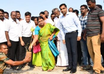 உலக சுற்றுச்சூழல் தினத்தையொட்டி மரக்கன்று அமைச்சர் கீதாஜீவன் நட்டினார்.