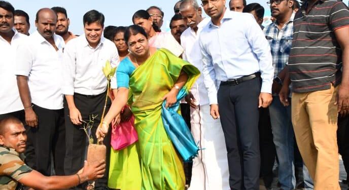 உலக சுற்றுச்சூழல் தினத்தையொட்டி மரக்கன்று அமைச்சர் கீதாஜீவன் நட்டினார்.