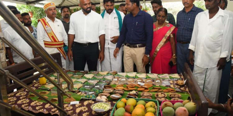 நாகப்பட்டினம் மாவட்டம் கீழையூர் ஒன்றியம் கிராமத்துமேடு ஊராட்சியில் விவசாயிகளை சிறுதானிய சாகுபடி செய்ய ஊக்கப்படுத்தும் வகையில் பாரம்பாரிய கேழ்வரகு அறுவடையினை மாவட்ட ஆட்சித்தலைவர் ஜானி டாம் வர்கீஸ் தொடங்கி வைத்தார்.