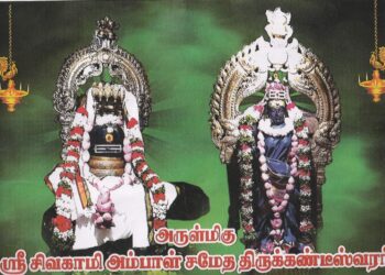 தென் திருநள்ளாறு என்னும் திருநாணல்காடு  சுமார் 800 ஆண்டுகள் பழமையான சிவாலயம்;  ஆடி அமாவாசையில் ஈசனை வழிபட்டால் பித்ருகடன் நிறைவேற்றிய பலன் கிடைப்பதாக ஐதீகம் 