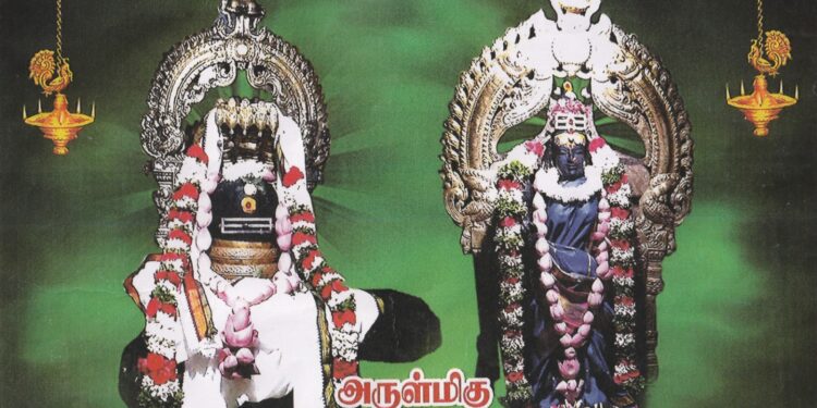 தென் திருநள்ளாறு என்னும் திருநாணல்காடு சுமார் 800 ஆண்டுகள் பழமையான சிவாலயம்; ஆடி அமாவாசையில் ஈசனை வழிபட்டால் பித்ருகடன் நிறைவேற்றிய பலன் கிடைப்பதாக ஐதீகம்