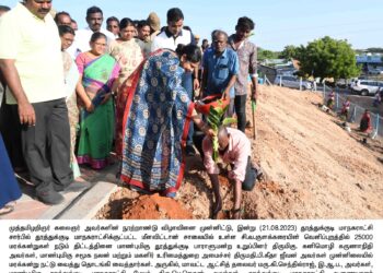 தூத்துக்குடி சிவ குளம் பகுதியில் கனிமொழி எம்.பி மரக்கன்று நட்டினார். அமைச்சர் கீதாஜீவன், மேயர் ஜெகன் பெரியசாமி, கலெக்டர் செந்தில்ராஜ் பங்கேற்பு