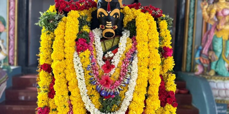 ஸ்ரீசித்தர் பீடத்தில் வரும் 14ம் தேதி முதல் முறையாக ஸ்ரீவாராஹி அம்மனுக்கு 2025 கிலோ கிழங்கு யாகம்