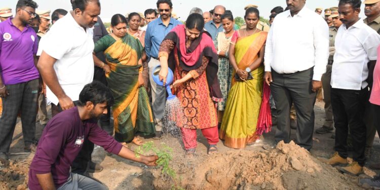 தூத்துக்குடி மாநகராட்சி சார்பில் கலைஞர் நூற்றாண்டு விழா மரக்கன்று நடப்பட்டது. கனிமொழி எம்.பி, அமைச்சர் கீதாஜீவன், மேயர் ஜெகன் பெரியசாமி கலெக்டர் லெட்சுமிபதி, பங்கேற்பு