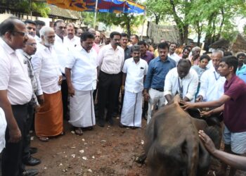 தூத்துக்குடி தெற்கு சிலுக்கன்பட்டியில் கோமாரி நோய் தடுப்பூசி முகாம் அமைச்சர்கள் அனிதா ராதாகிருஷ்ணன், சேகர்பாபு, பங்கேற்பு