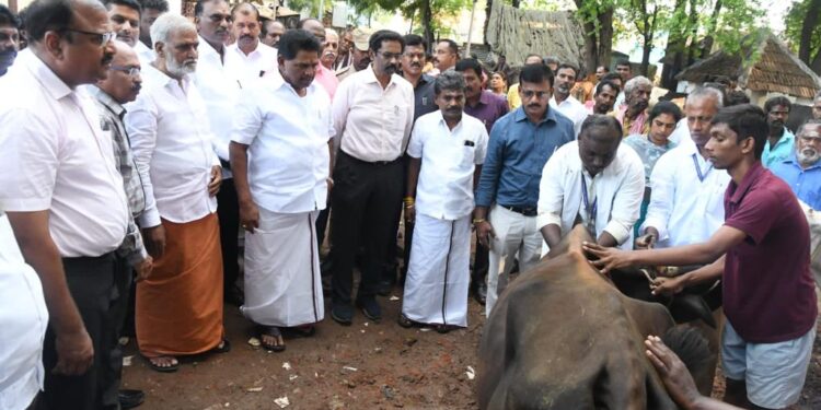 தூத்துக்குடி தெற்கு சிலுக்கன்பட்டியில் கோமாரி நோய் தடுப்பூசி முகாம் அமைச்சர்கள் அனிதா ராதாகிருஷ்ணன், சேகர்பாபு, பங்கேற்பு