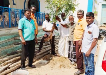 தூத்துக்குடியில் கேவிகே சாமி பிறந்தநாளையொட்டி மரக்கன்று நடப்பட்டது.