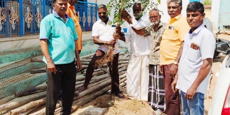 தூத்துக்குடியில் கேவிகே சாமி பிறந்தநாளையொட்டி மரக்கன்று நடப்பட்டது.