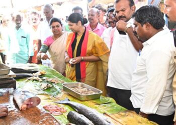 தூத்துக்குடி வியாபாாிகளிடம் கனிமொழி வாக்கு சேகாித்தாா்.