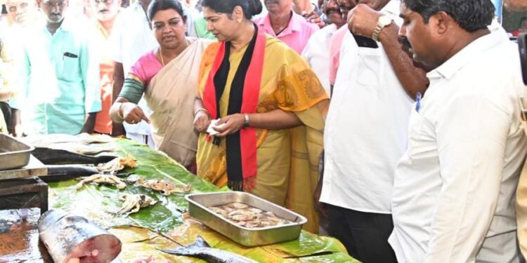 தூத்துக்குடி வியாபாாிகளிடம் கனிமொழி வாக்கு சேகாித்தாா்.