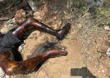 தூத்துக்குடியில் அடையாளம் தெரியாத அழுகிய நிலையில்  ஆண் சடலம் முள்புதரில் கண்டெடுப்பு : தெர்மல் நகர் போலீஸ் தீவிர விசாரணை!