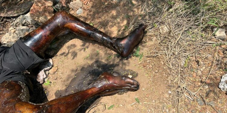 தூத்துக்குடியில் அடையாளம் தெரியாத அழுகிய நிலையில் ஆண் சடலம் முள்புதரில் கண்டெடுப்பு : தெர்மல் நகர் போலீஸ் தீவிர விசாரணை!