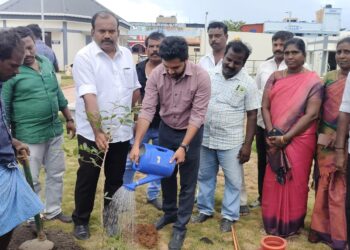 மாப்பிள்ளையூரணி இந்திரா நகாில் பேவர் பிளாக் சாலை அமைக்கும் பணி ஊராட்சி மன்ற தலைவர் சரவணக்குமாா் ஆய்வு