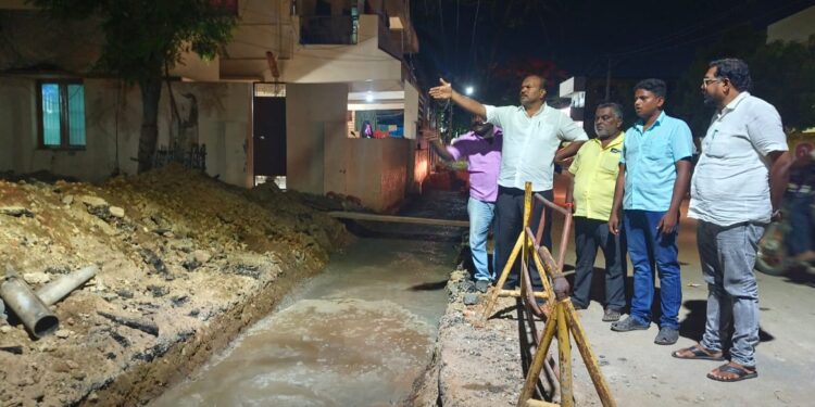 தூத்துக்குடி மாநகராட்சி பகுதியில் மேயர் ஜெகன் பொியசாமி ஆய்வு