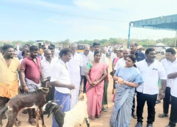 தூத்துக்குடி மாப்பிள்ளையூரணியில் ஆட்டு சந்தை அமைச்சர் கீதாஜீவன் திறந்து வைத்து 3 கிடாக்களை வாங்கி வியாபாரிகளை உற்சாகப்படுத்தினார்.